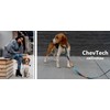 WOLFGANG/WOLFGANG ChevTech Collar Small Size Width 0.6 inches (1.6 cm)