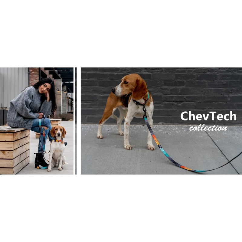 WOLFGANG/WOLFGANG ChevTech Collar Small Size Width 0.6 inches (1.6 cm)