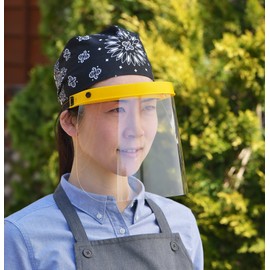 Sundry SSF-802 Face Guard, Clear Shield (Simple Protective Surface)