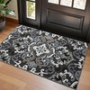 LUMI Indoor Door Mat for Entrance 24x55, Luxury Traditional Front