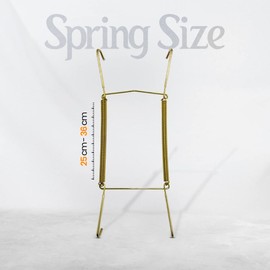 WINSOME Invisible Plate Hangers for Wall | Decorative Dish Display Holders Hanging Wires Spring Hook Holder with Tip Protectors Fit to Hang on Wall (25-36 cm (10-14 Inch), Brass)