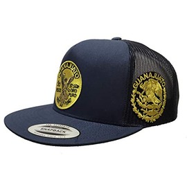 Centenario de Guanajuato Logo Federal a Lado 2 Logos Hat Black mesh