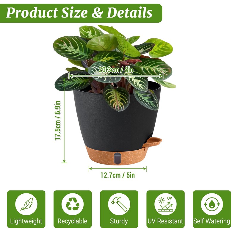 Fielda 2 Pack 8 Inch Pots for Plants Indoor, Plastic