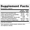 Wellness Resources Gentle Iron and Multivitamin with methylated B12 and