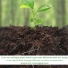 Legigo Organic Coconut Coir for Garden Soil and Potting Mix