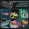 PINVNBY Acrylic Fish Breeding Box，Guppy breeding Box Acrylic Fish Isolation