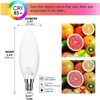 E12 LED Candelabra Light Bulbs 5W, Set of 6 Color