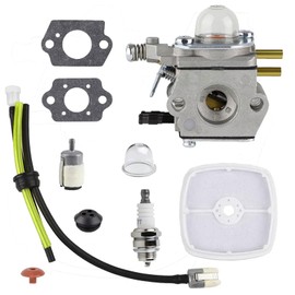 Moleyaso SRM 2100 Carburetor for Echo SRM2100 GT2000 String Trimmer GT2000EZR Grass Cutter PE2000 Edger SHC-2100 SHC-1700 Hedger C1U-K52 Carburetor w Air Filter Kit