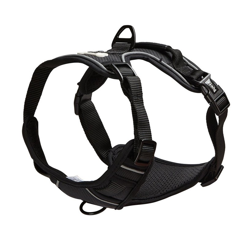 Bunty Adjustable Dog Harness, Adventure - Anti Pull Dog Harness