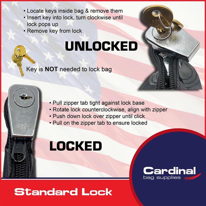 Locking Document Security HIPAA Compliant Bag, 11 x 15 inches