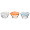 HARIO MKK-SI-2024 Heat-Resistant Glass Storage Containers, 3 Pieces, Colorful, Made