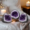 WYJHYZN Amethyst Crystal Gems and Healing Stones Rocks Geodes Purple