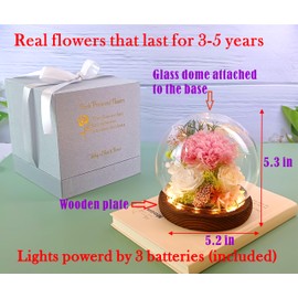 Valley of Rain & Forest Long-Lasting Real Flowers, Unique Floral Gift For you to send Love for All Occasions, for Indoor Decoration (Pink Carnation, White Rose, Yellow-Champagne Rose)