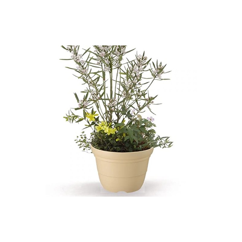 Richell Color Varier Ring Pot No. 4 Coffee Brown (CB)