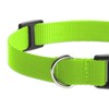 Peture Replacement Collar for Shock Collar, Stylish & Comfortable Christmas