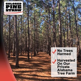 Longleaf Pine Straw Loose in Box for Landscaping - Brown Color UV Resistant - Covers Up to 100 Square Feet