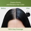 Red by Kiss Quick Cover Natural Herbal Color Change Shampoo