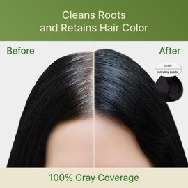 Red by Kiss Quick Cover Natural Herbal Color Change Shampoo 3 Pouches (2 PACK, Natural Black)