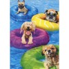 Avanti Press Dogs Floating in Colorful Innertubes in Pool Funny/Cute