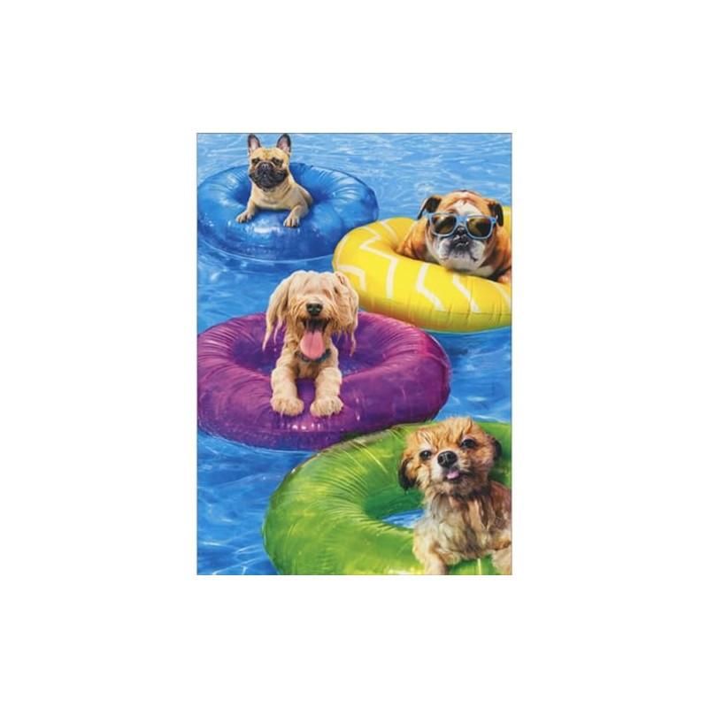 Avanti Press Dogs Floating in Colorful Innertubes in Pool Funny/Cute