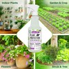 Mighty Mint Peppermint Plant Protection Spray for Insects, Gnats, Fungus,