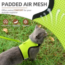 PUPTECK Soft Mesh Cat Vest Harness and Leash Set Puppy Padded Pet Harnesses Escape Proof for Cats Small Dogs Rabbits Bunny, Fluorescent Green XL