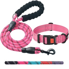 Ladoogo Heavy Duty Dog Leash - Comfortable Padded Handle, 5 ft Long - Dog Leashes for Small Medium Large Dogs (Leash+Collar L Neck 20"-25", Pink)