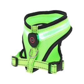 Step-in Air Dog LED Harness - All Weather Mesh, Reflective, No Pull Harness for Small, Medium Dogs, Cats - Secure, Buckle, D-Ring, Rechargeable, Water Resistant (Green, Medium)