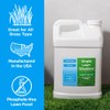 Superior 15-0-15 Liquid Lawn Fertilizer - Lawn Food for Growth