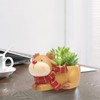 QUINTRA Creative Cartoon Cute Small Animals Fleshy Flower Pot Micro