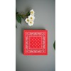Honwor 2PCS Paisley Bandanas - Pirate Head Scarf for Men