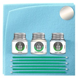 ERA Paints LR7L - White Gold Metallic for VOLKSWAGEN Exact Match Automotive Touch Up Paint Jar - Premium Kit