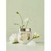 Perfumed Sea Salt Body Scrub 500g White Blanc / 퍼퓸드