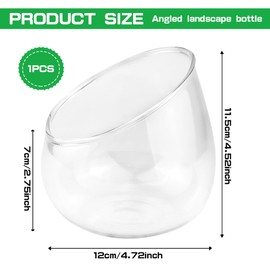 LNQ LUNIQI Glass Slant Cut Bowl Vase Clear Slanted Globe Terrarium Flower Vase Planter Table Centerpiece for Succulents, Cacti, Moss