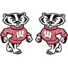 WISCONSIN BUCKY BADGER Mini FOOTBALL HELMET DECALS