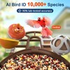 PeckCam® Bird Feeder with Camera, 2K Ultra HD Live Stream