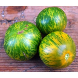 KIRA SEEDS - Green Zebra Tomato - Heirloom Vegetable - GMO Free