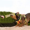 DGSL Dog Bite Training Set - Dog Bite Sleeve, Dog