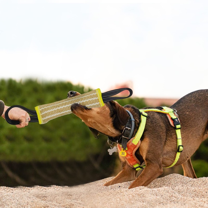 DGSL Dog Bite Training Set - Dog Bite Sleeve, Dog