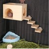 C-LIGHT Pet Chinchilla Hut Hideout Natural Wooden Small Animal Hideout