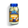 Litehouse Freeze Dried Ginger - Ginger Flakes, Substitute for Fresh