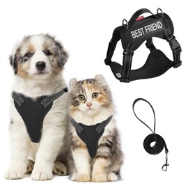 Muecleao Dog Harness Small Dog, Adjustable Soft Padded Puppy Pet Vest and Lead Set, Reflective No Pull Dog Harness with Safety Buckle and Velcro for Puppies Dogs and Cat (Black, XL)