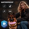 PetIsay Glow-in-The-Dark Dog Collar - Rechargeable IP68 Waterproof LED Collar