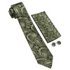 Barry.Wang Olive Green Black Ties for Men Paisley Silk Necktie