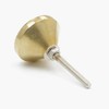 Handmade Inlay Pearl with Brass Body Mixed Media Knob, Pull,