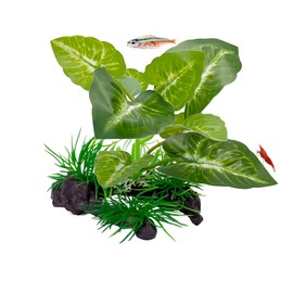 CTWPets Betta Driftwood Decor – Soft Silk Aquarium Plant for Betta Fish, Shrimp, and Tropical Tanks – Safe, Vibrant Aquascape Decoration (Jungle Green)