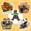 PetWarm Dog Toys Chew Squeaky, Durable Chew & Stress-Relief Interactive
