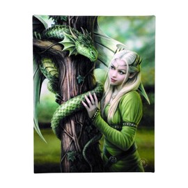 ANNE STOKES WP_55014 Canvas Plaque | Kindred Spirits H25cm X W19cm X D1.5cm | Pack of 1, Green & White