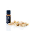 Land of Punt Frankincense Essential Oil, 100% Steam Distilled, Boswellia