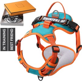 WENDISI Mint Green Large Dog Harness, Reflective Oxford Vest with No Pull & No Choke Dual Clips, Adjustable Soft Padded Harness with Easy Control Handle, for Dog Walking, Jogging, Hiking